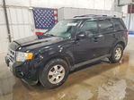 Ford Escape 2012