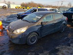 Kia Rio 2013