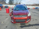Ford Escape 2016