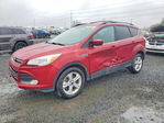 Ford Escape 2014