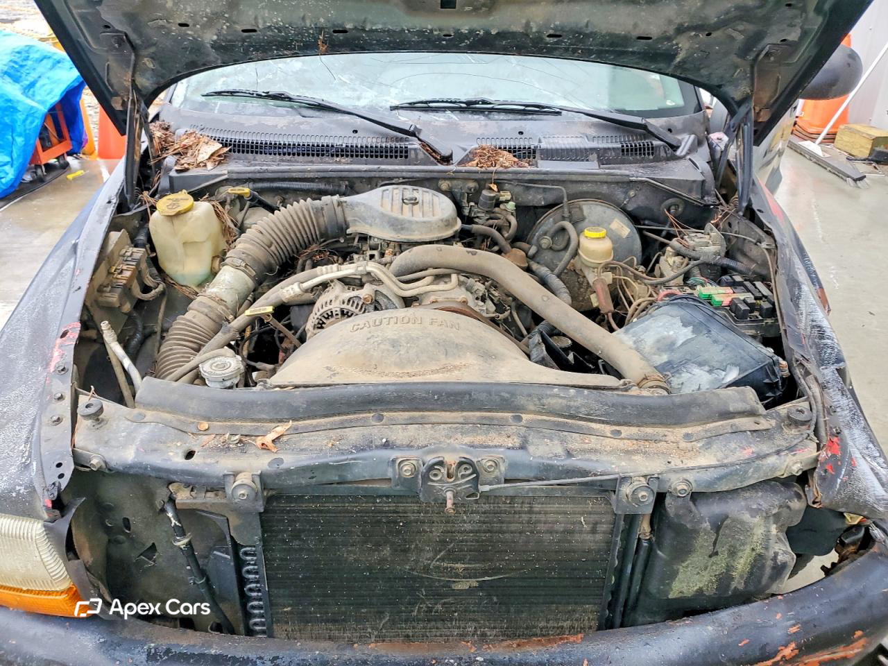 Dodge Dakota 1998