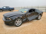 Ford Mustang 2013