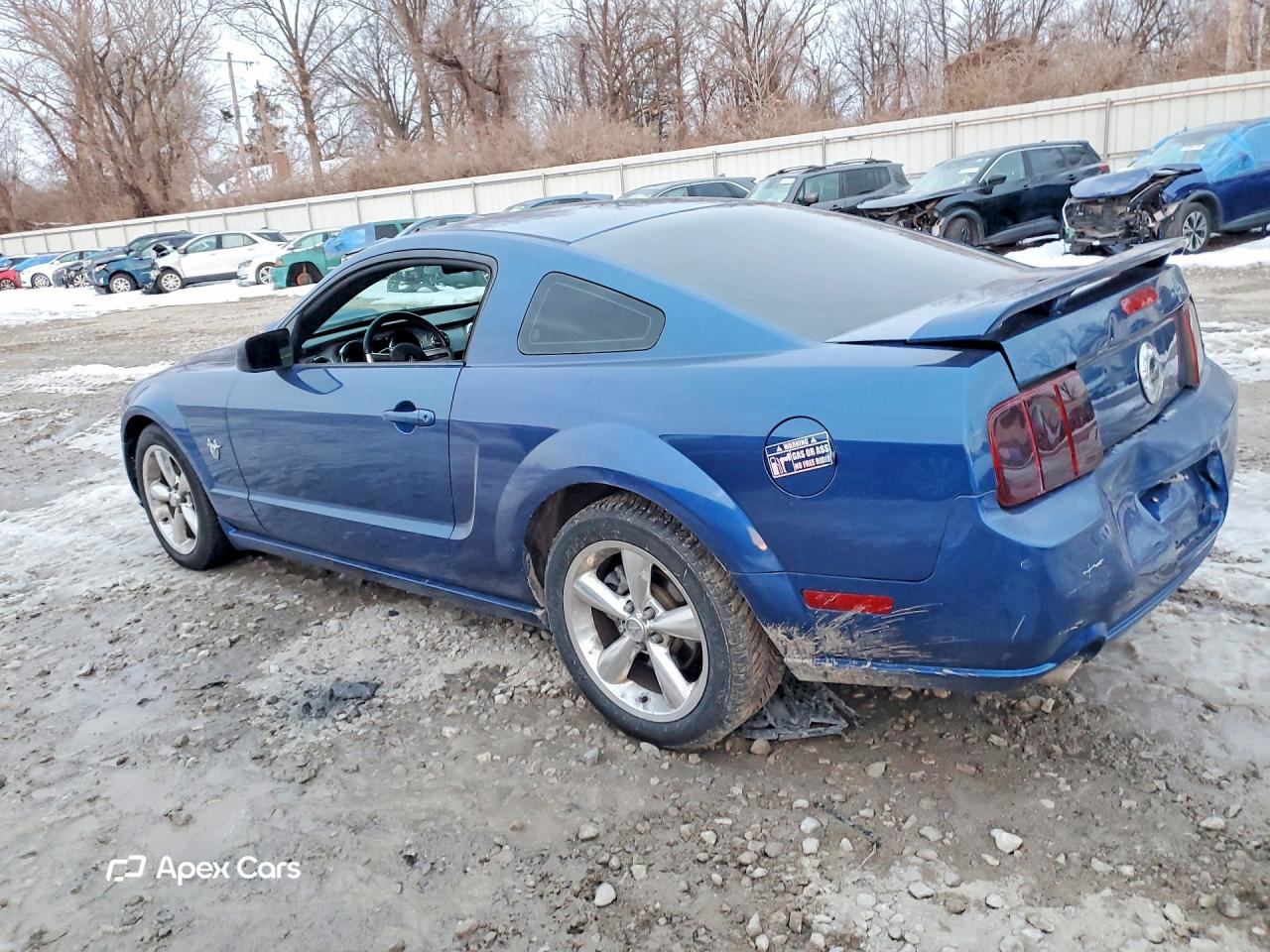 Ford Mustang 2009