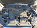Audi Q7 2020
