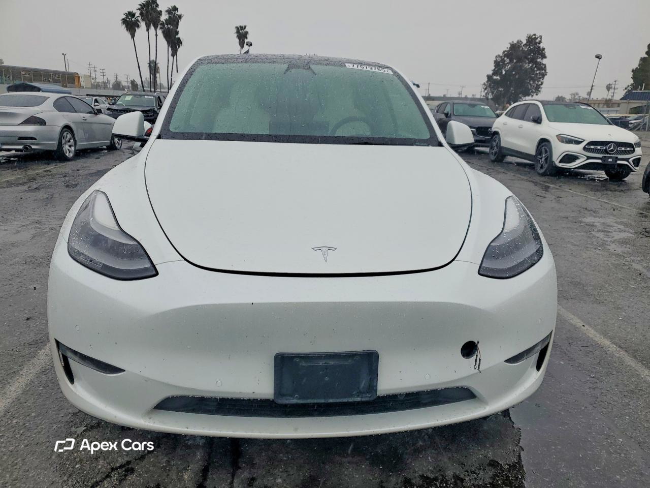 Tesla Model Y 2021
