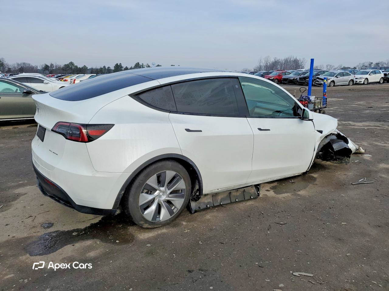 Tesla Model Y 2023