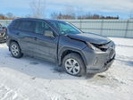 Toyota RAV 4 2024