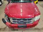 Ford Escape 2009