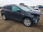 Ford Escape 2013