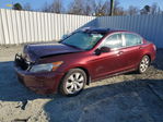 Honda Accord 2010
