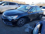 Honda Accord 2017