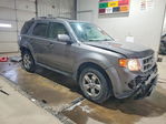 Ford Escape 2011