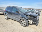 Ford Escape 2013