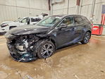Lexus RX 2025