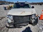 Ford Escape 2009