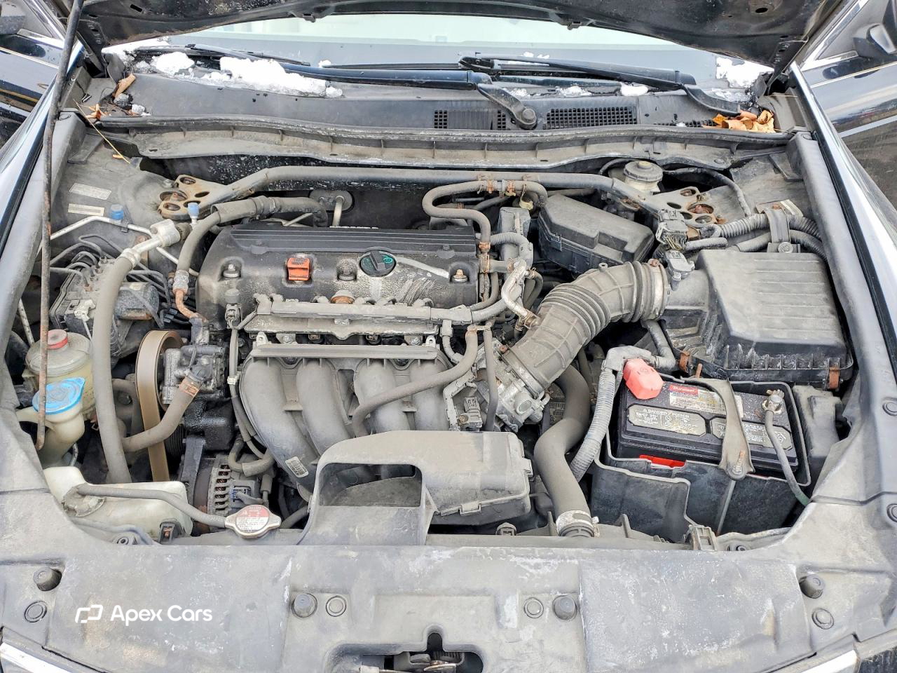 Honda Accord 2010