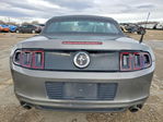 Ford Mustang 2014