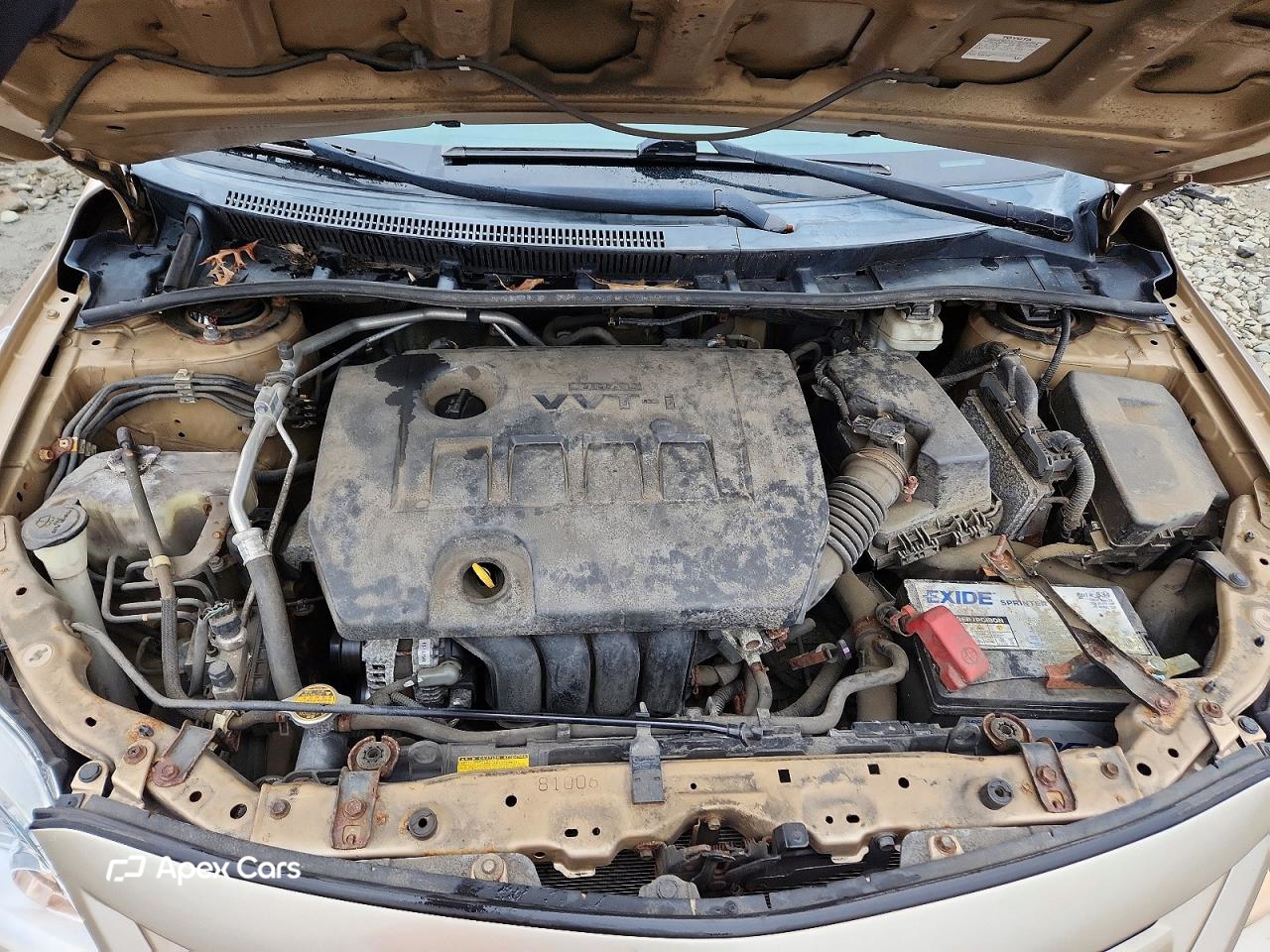 Toyota Corolla 2013