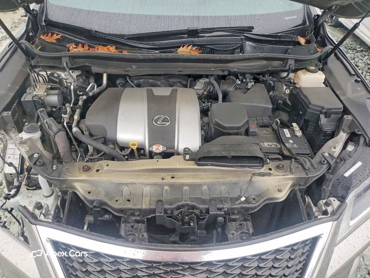 Lexus RX 2019