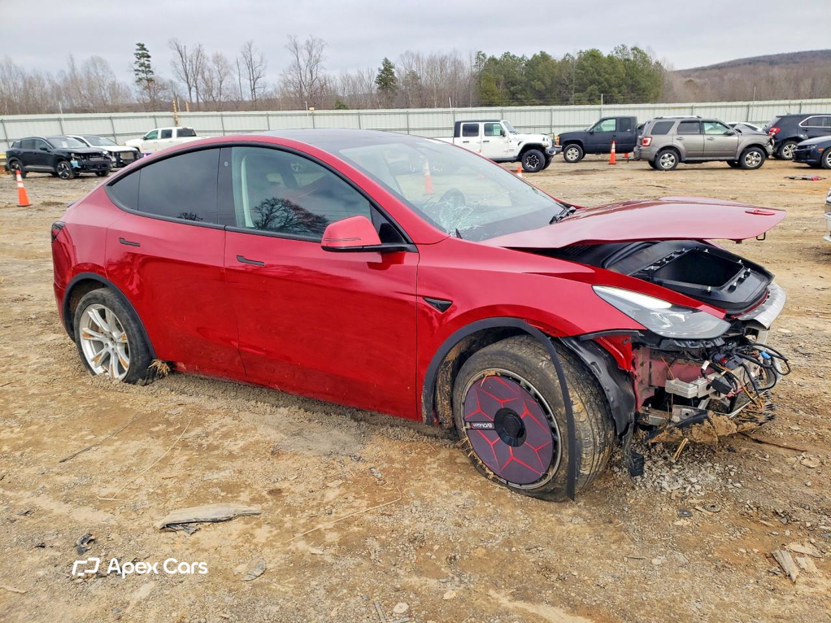 Tesla Model Y 2020