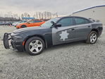 Dodge Charger 2023