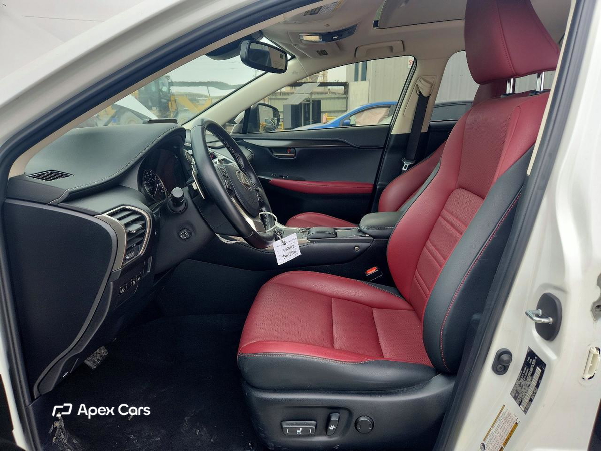 Lexus NX 2020