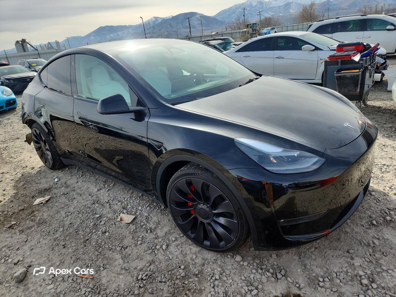 Tesla Model Y 2023