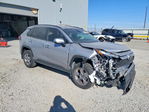 Toyota RAV 4 2023