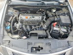 Honda Accord 2010