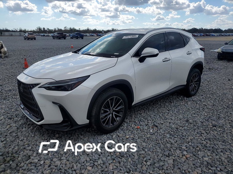 Lexus NX 2024 - Zdjęcie 1 z 14