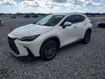 Lexus NX 2024