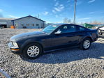Ford Mustang 2007