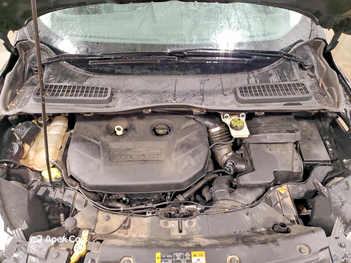 Ford Escape 2014