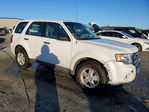 Ford Escape 2012