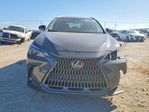 Lexus NX 2025