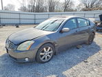 Nissan Maxima 2006