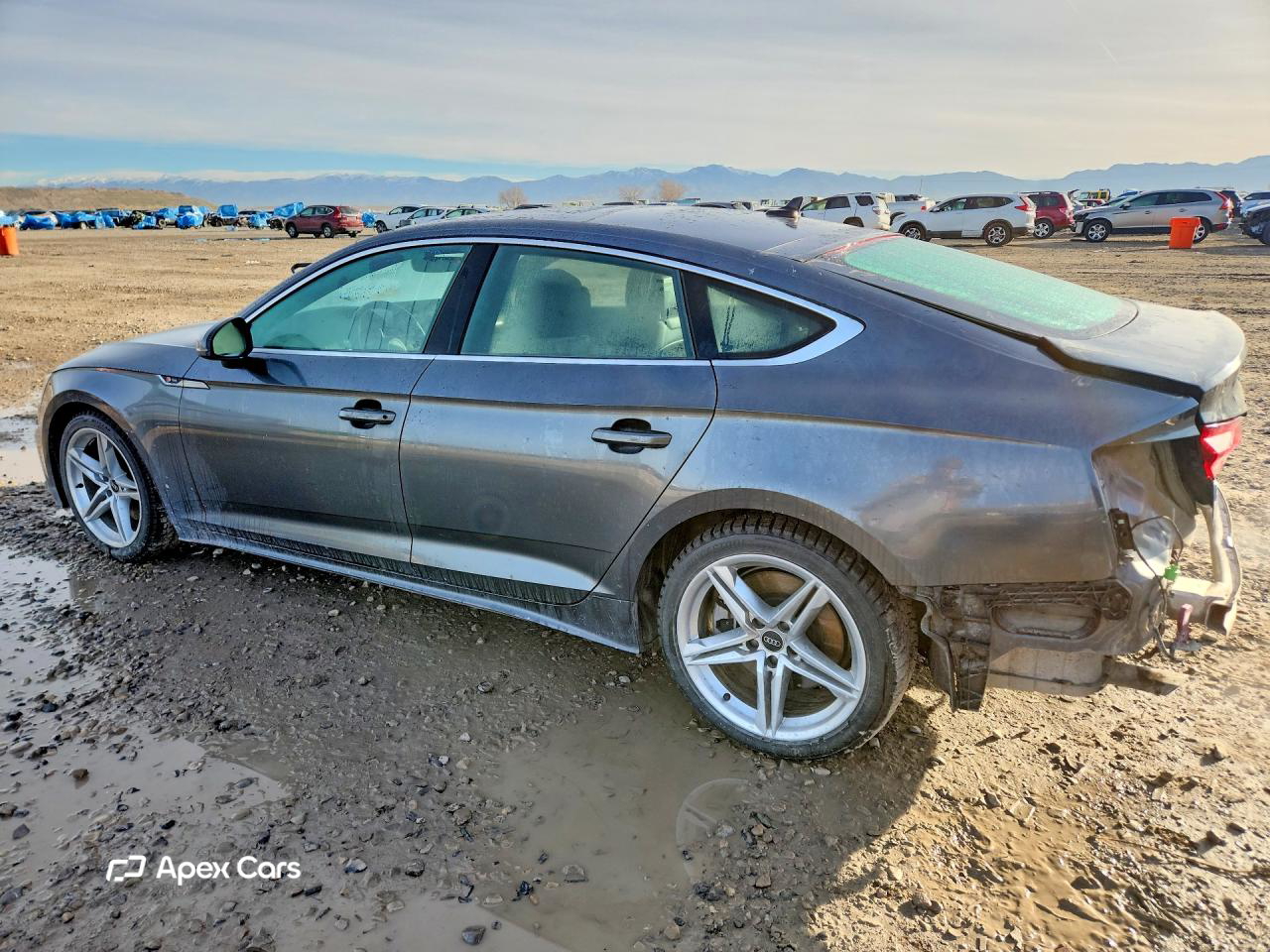 Audi A5 2022