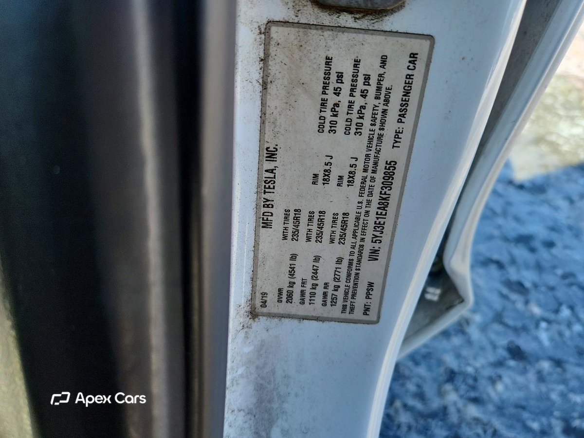 Tesla Model 3 2019
