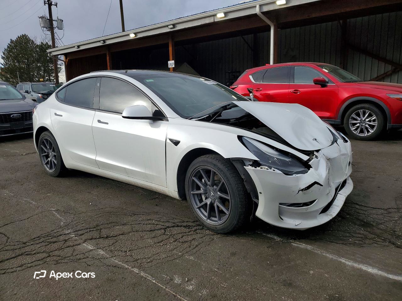 Tesla Model 3 2021