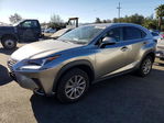 Lexus NX 2021