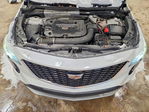 Cadillac XT4 2020