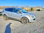 Ford Escape 2013