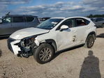 Lexus NX 2020