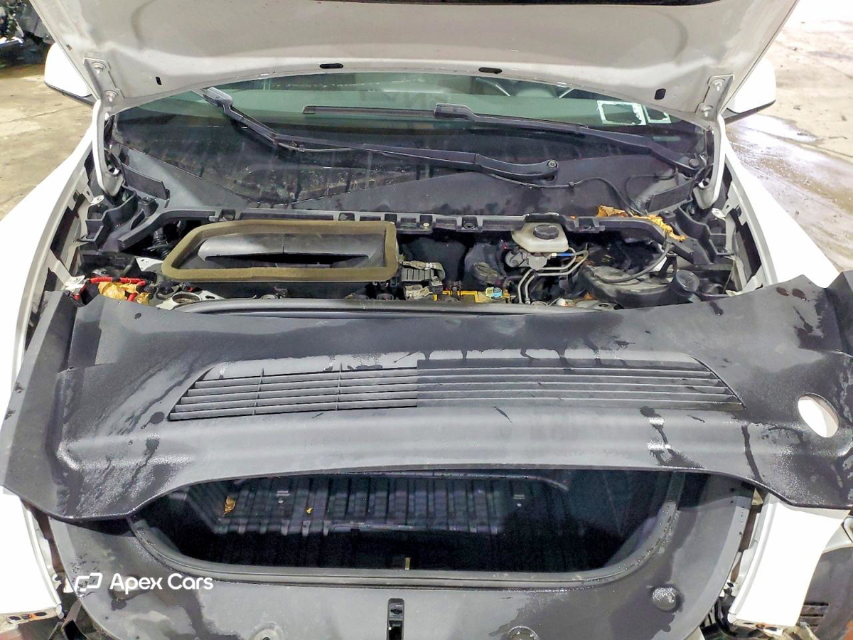 Tesla Model Y 2020