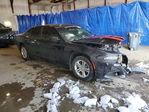 Dodge Charger 2023