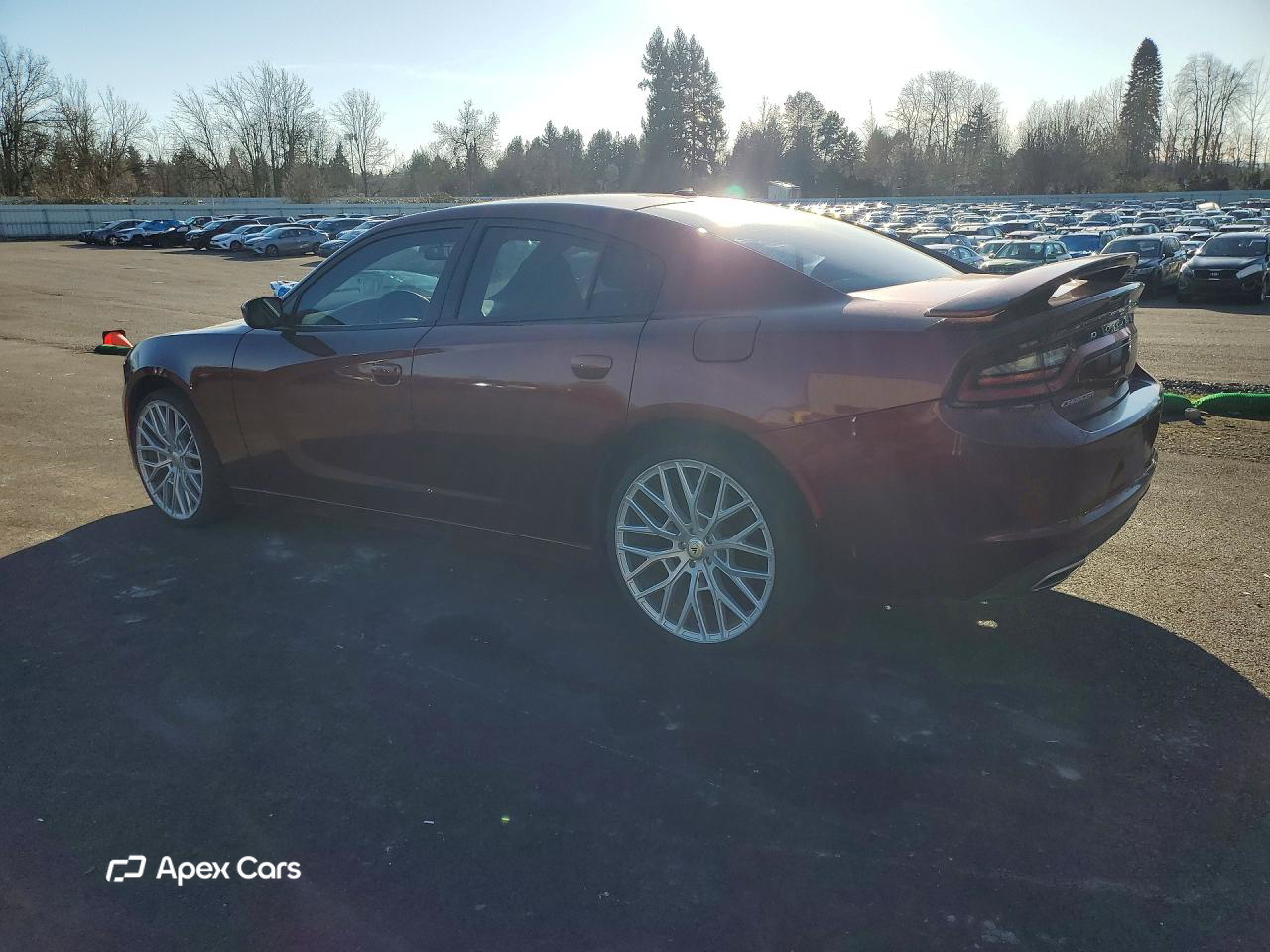 Dodge Charger 2019