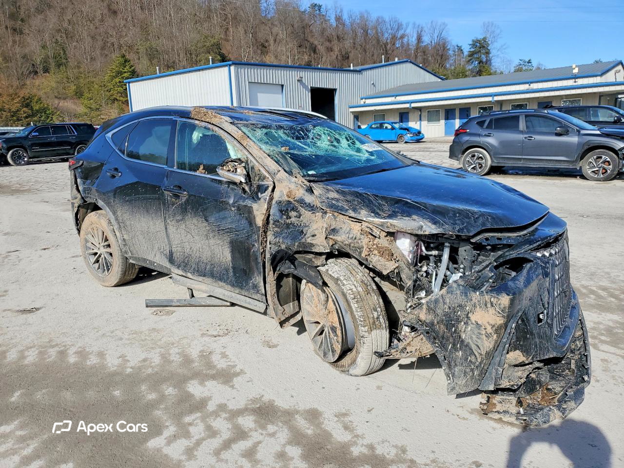 Lexus NX 2025