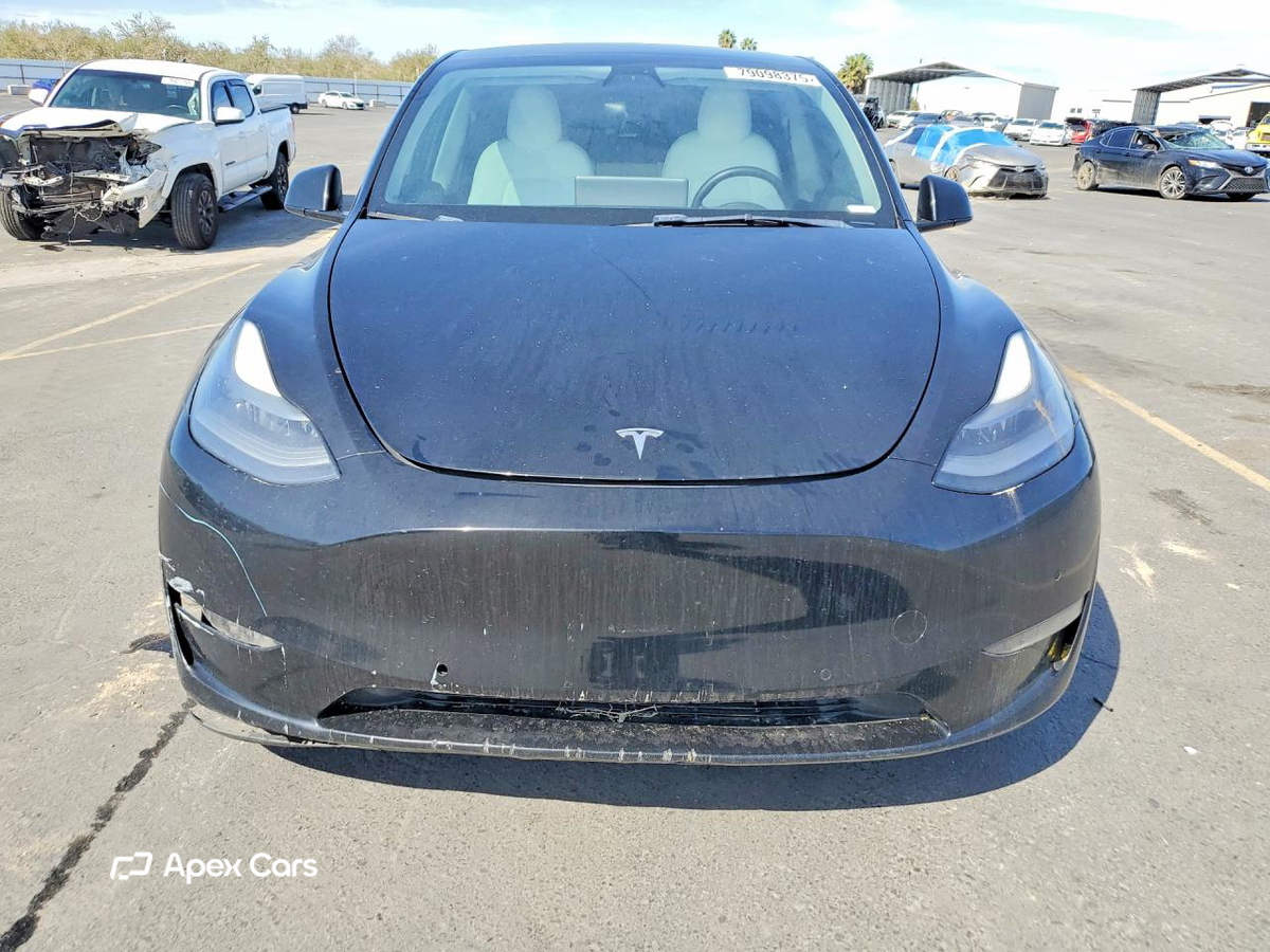 Tesla Model Y 2021