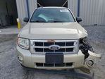 Ford Escape 2012