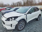 Ford Escape 2022